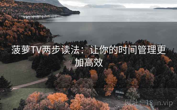 菠萝TV两步读法：让你的时间管理更加高效