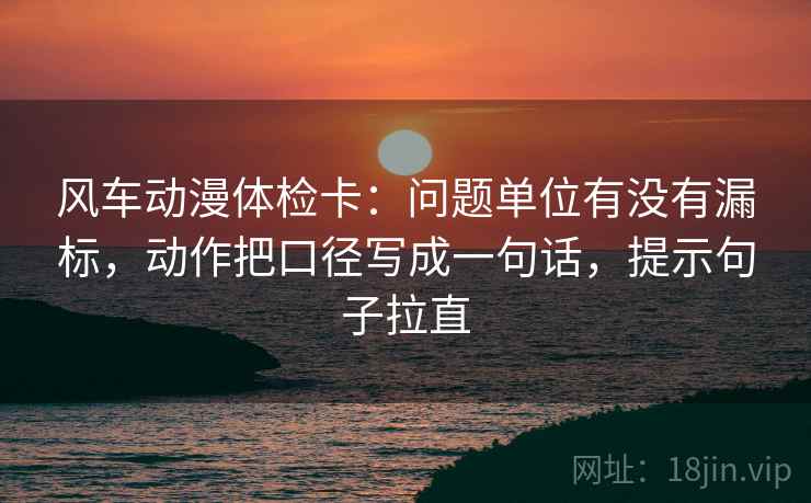 风车动漫体检卡：问题单位有没有漏标，动作把口径写成一句话，提示句子拉直