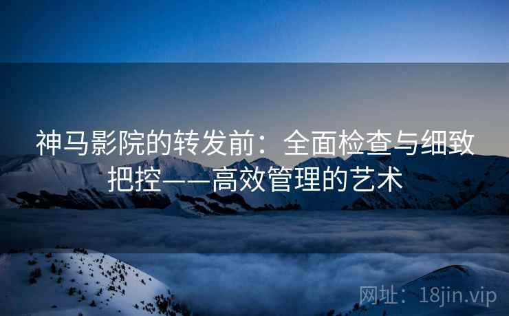 神马影院的转发前：全面检查与细致把控——高效管理的艺术